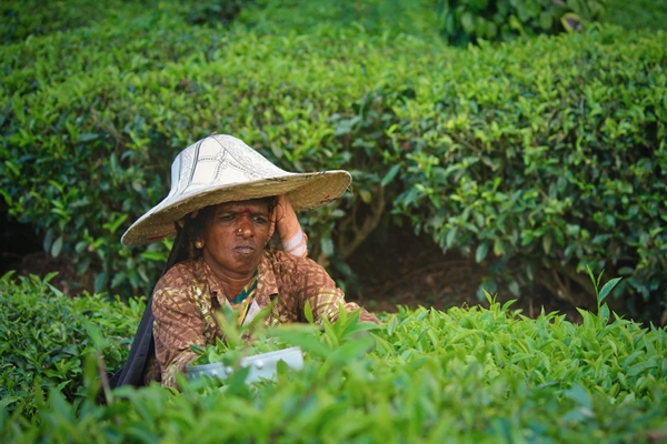Women’s Agriculture Work Potentially Have Negative Outcomes: Study